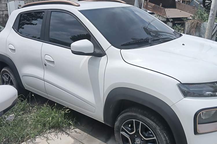 Used Dongfeng NAMMI BOX 2022 Chasing Wind Edition 351KM Standard Model Exterior 2