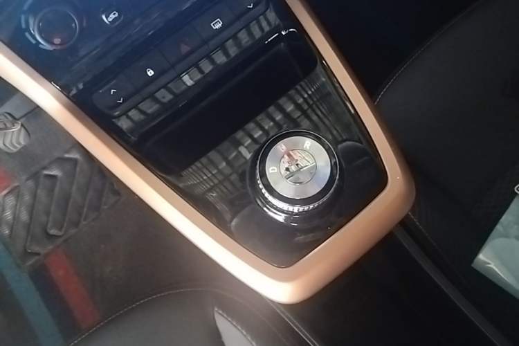Used Dongfeng NAMMI BOX 2022 Chasing Wind Edition 351 km Advanced Model Gear Lever