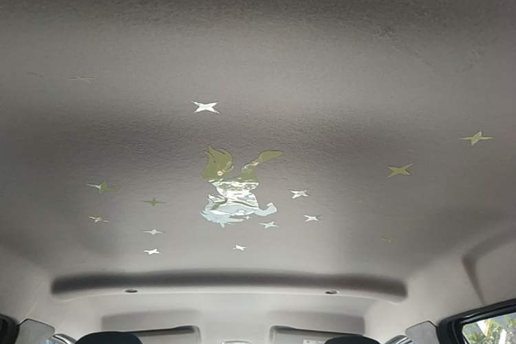 Used Dongfeng NAMMI BOX 2022 Revised Light Wind Edition 201 km Standard Version Headliner