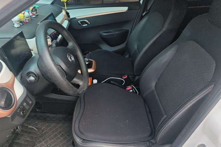 Used Dongfeng NAMMI BOX 2022 Light Wind Edition 201KM Standard Model Left Front Seat