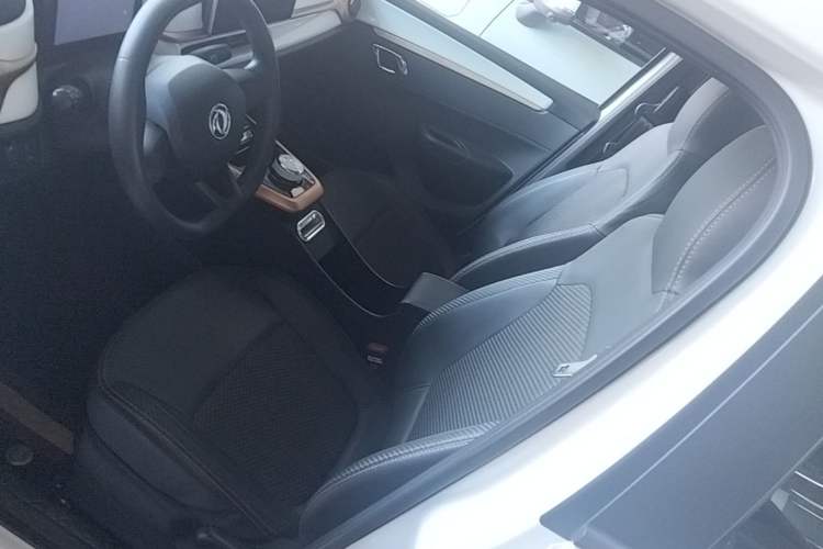 Used Dongfeng NAMMI BOX 2022 Champion Edition Light Wind Version 201KM Standard Model Left Front Seat