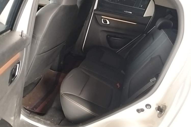 Used Dongfeng NAMMI BOX 2022 Chasing Wind Edition 351 km Advanced Model Left Rear Seat