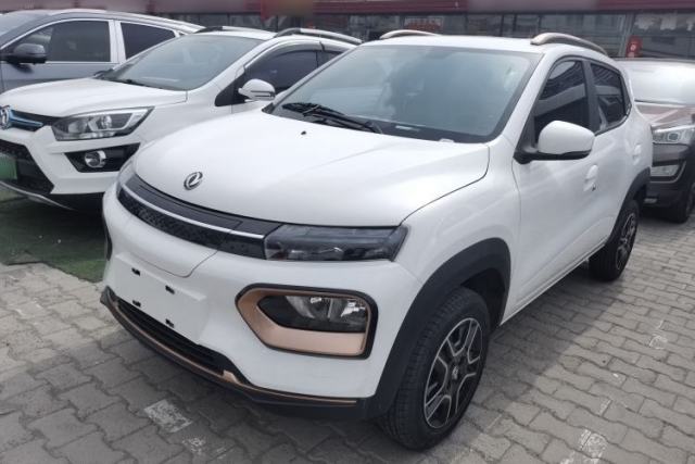 Used Dongfeng NAMMI BOX 2022 Light Wind Edition 201KM Lightning Model