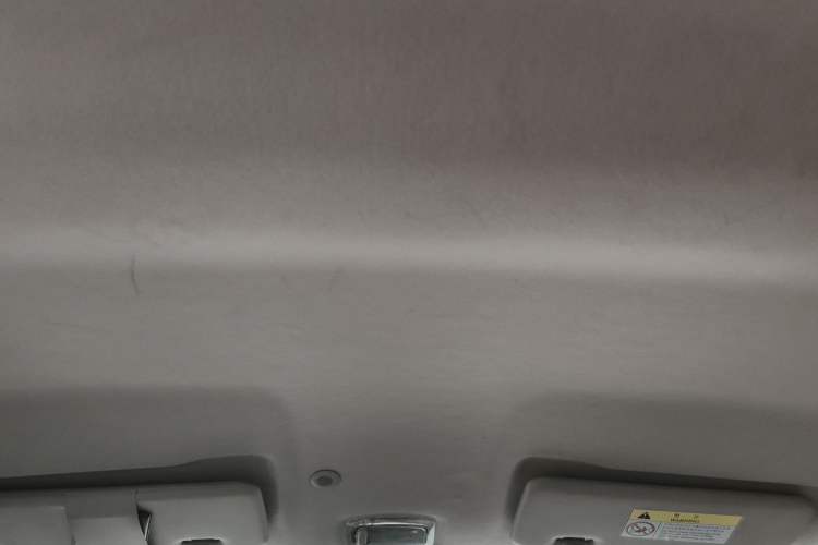 Used Dongfeng NAMMI EX1 2021 Quality Edition Headliner