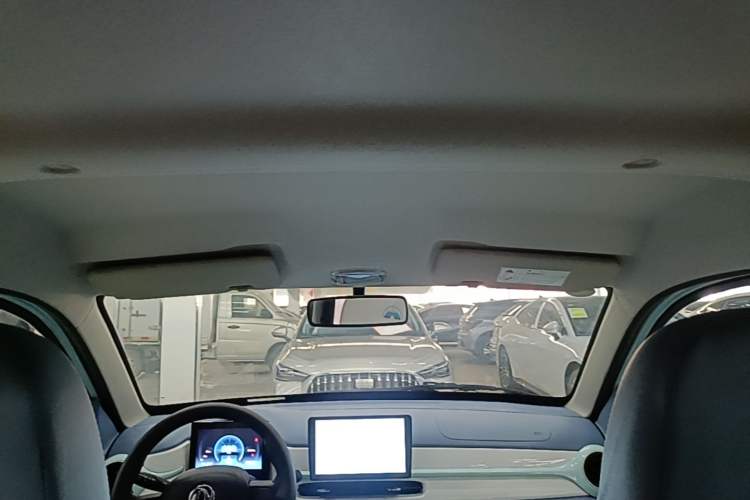 Used Dongfeng NAMMI EX1 2021 Quality Edition Headliner