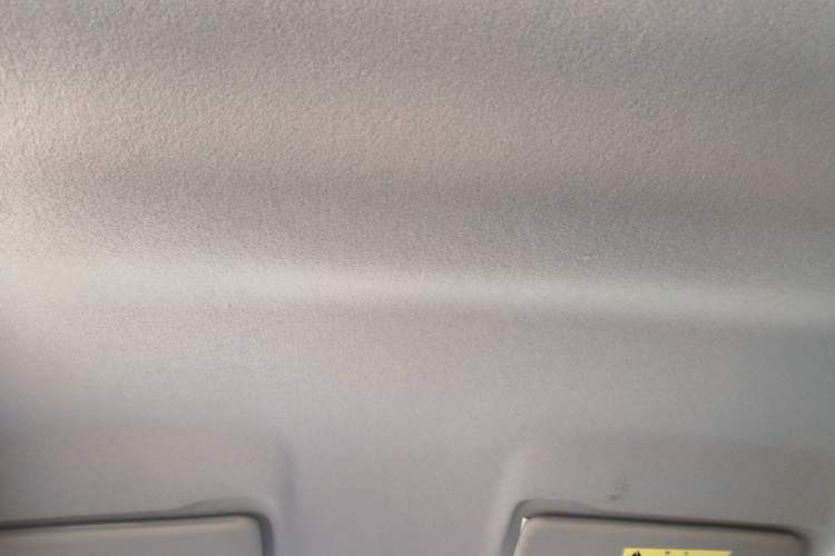 Used Dongfeng NAMMI EX1 2021 Zhi Ling Version Headliner