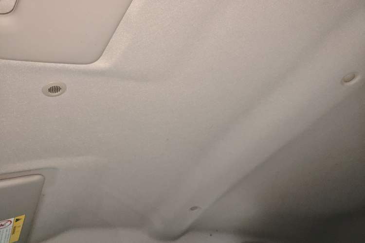 Used Dongfeng NAMMI EX1 2021 Quality Edition Headliner
