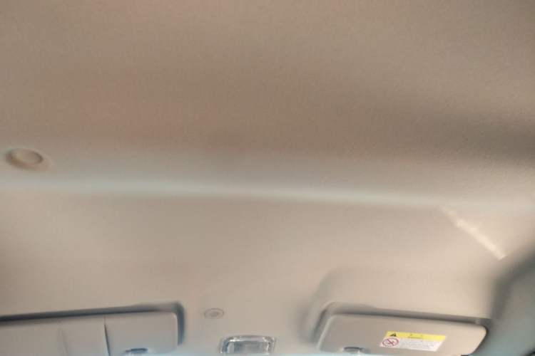 Used Dongfeng NAMMI EX1 2021 Quality Edition Headliner