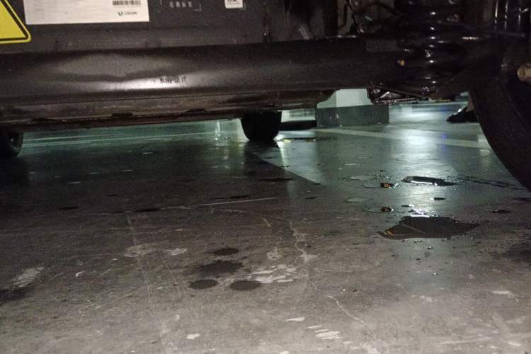 Used Dongfeng NAMMI EX1 2021 Zhi Ling Version Chassis Rear