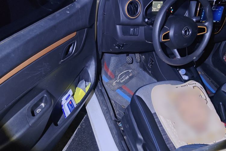 Used Dongfeng NAMMI EX1 2021 Quality Edition Driver Seat