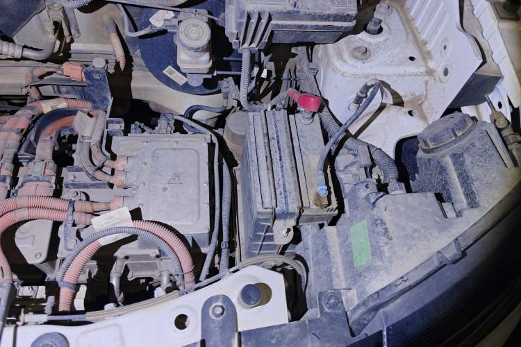 Used Dongfeng NAMMI EX1 2021 Quality Edition Engine Bay Left
