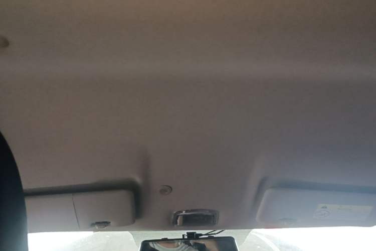 Used Dongfeng NAMMI EX1 2021 Quality Edition Headliner