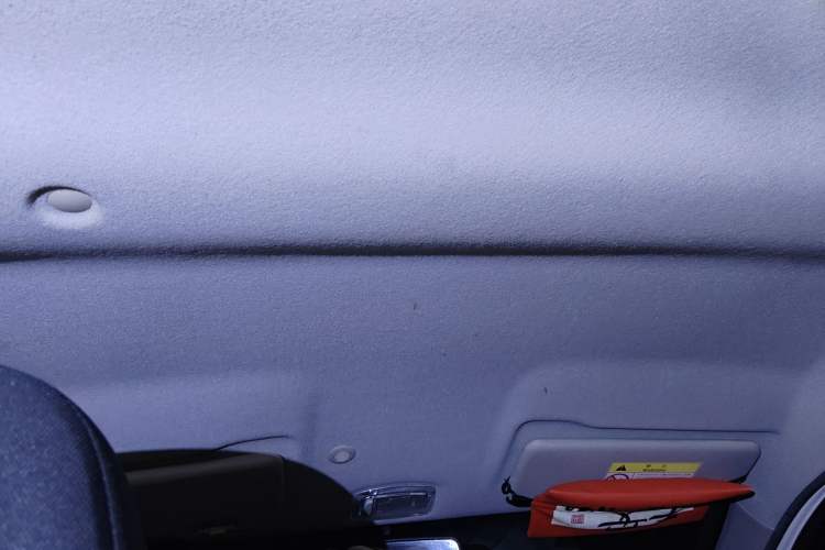 Used Dongfeng NAMMI EX1 2021 Quality Edition Headliner