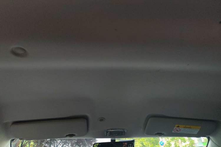 Used Dongfeng NAMMI EX1 2021 Quality Edition Headliner