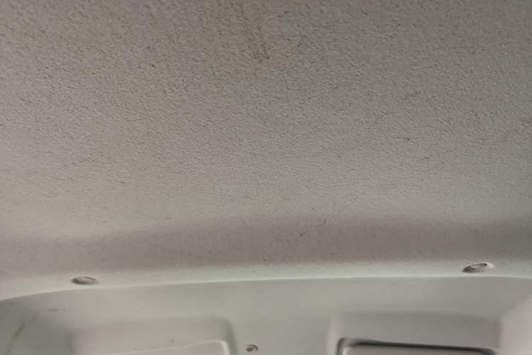 Used Dongfeng NAMMI EX1 2021 Quality Edition Headliner