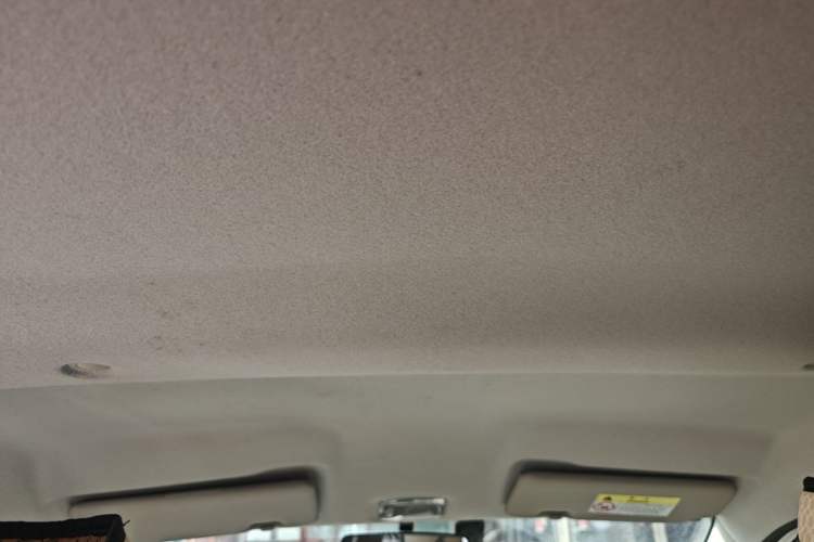 Used Dongfeng NAMMI EX1 2021 Quality Edition Headliner