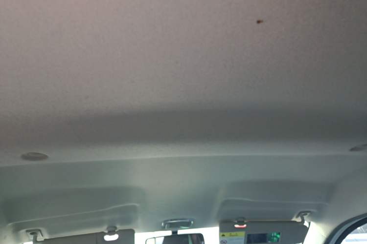 Used Dongfeng NAMMI EX1 2021 Zhi Ling Version Headliner