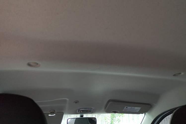 Used Dongfeng NAMMI EX1 2021 Quality Edition Headliner