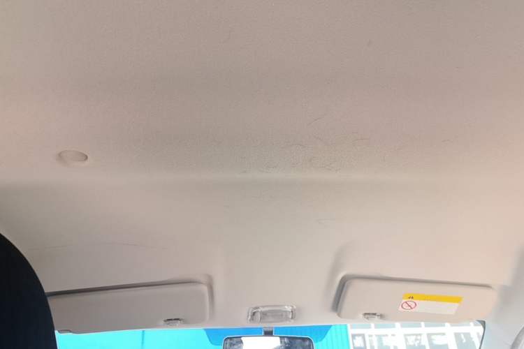 Used Dongfeng NAMMI EX1 2021 Zhi Ling Version Headliner