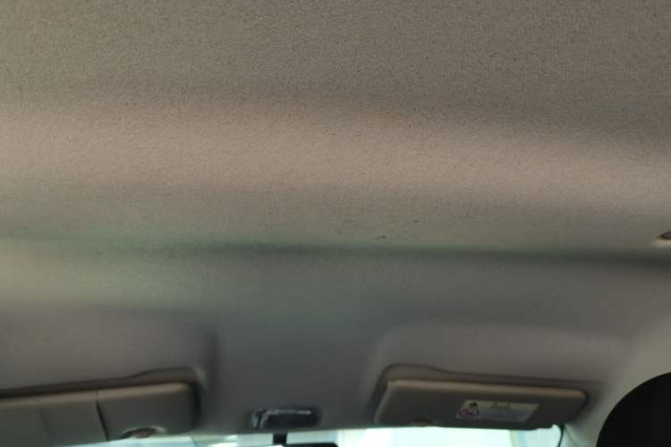 Used Dongfeng NAMMI EX1 2021 Zhi Ling Version Headliner