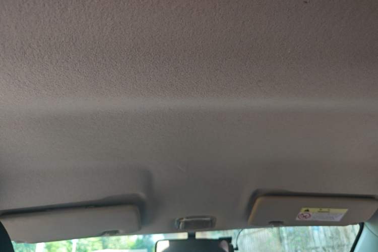Used Dongfeng NAMMI EX1 2021 Zhi Ling Version Headliner