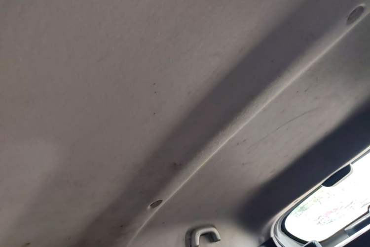 Used Dongfeng NAMMI EX1 2021 Quality Edition Headliner