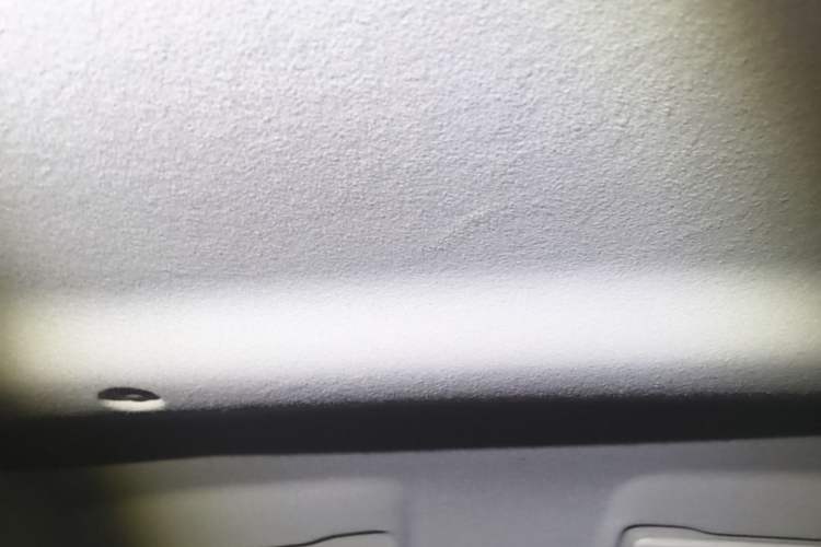Used Dongfeng NAMMI EX1 2021 Zhi Ling Version Headliner