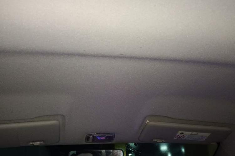 Used Dongfeng NAMMI EX1 2021 Zhi Ling Version Headliner