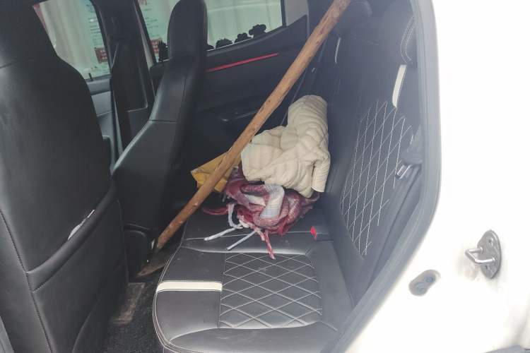Used Dongfeng NAMMI EX1 2021 Zhi Ling Version Left Rear Seat