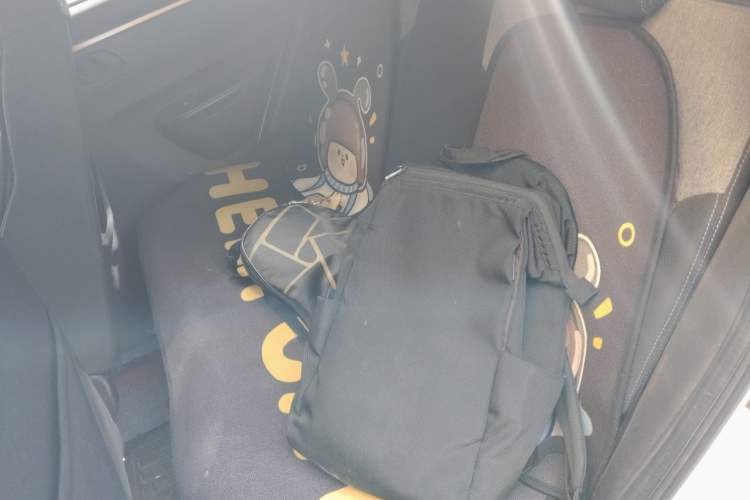 Used Dongfeng NAMMI EX1 2021 Quality Edition Left Rear Seat