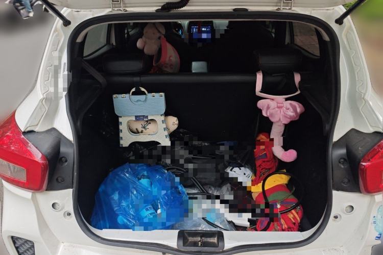 Used Dongfeng NAMMI EX1 2021 Zhi Ling Version Trunk