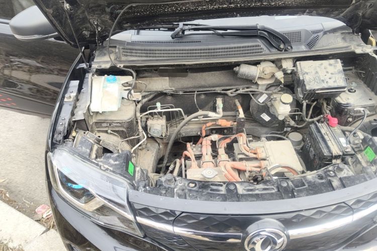 Used Dongfeng NAMMI EX1 2022 PRO Tiger Glory Advanced Model Engine Bay Right