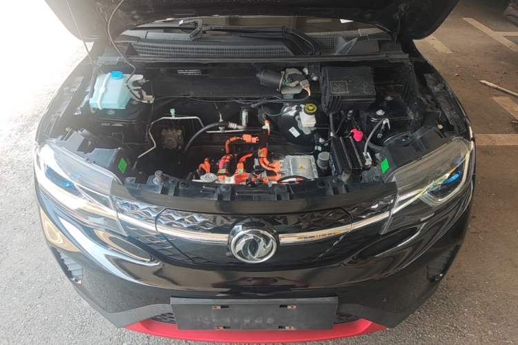 Used Dongfeng NAMMI EX1 2022 PRO Tiger Glory Advanced Model Engine Bay