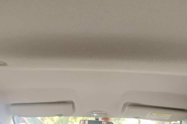Used Dongfeng NAMMI EX1 2022 Restyled PRO Tiger Glory Standard Edition Headliner