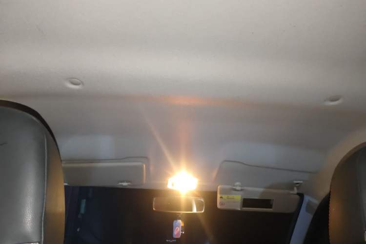 Used Dongfeng NAMMI EX1 2022 PRO Tiger Glory Luxury Model Headliner