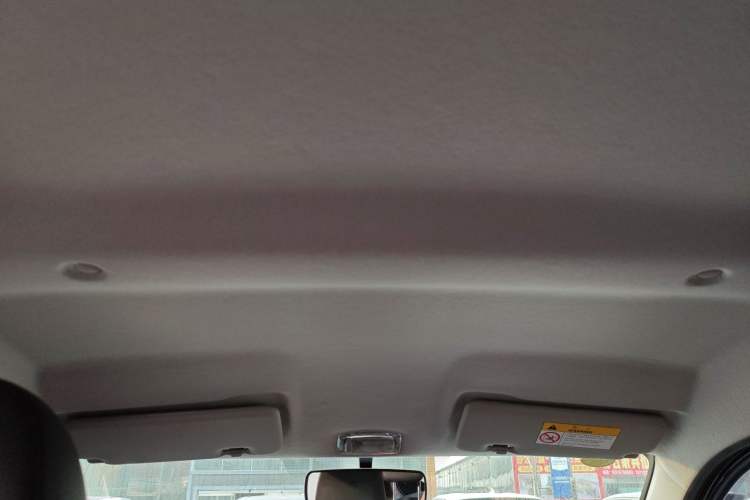 Used Dongfeng NAMMI EX1 2022 PRO Tiger Glory Luxury Model Headliner