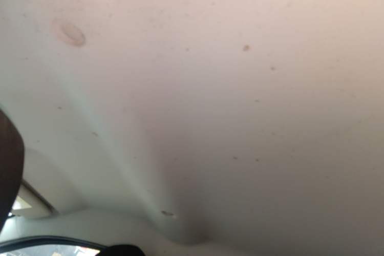 Used Dongfeng NAMMI EX1 2022 Revised PRO Tiger Glory Advanced Version Headliner