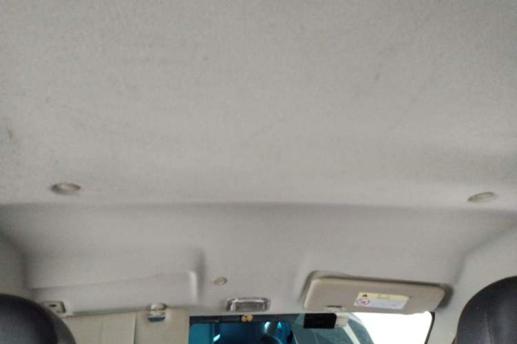 Used Dongfeng NAMMI EX1 2022 PRO Tiger Glory Luxury Model Headliner