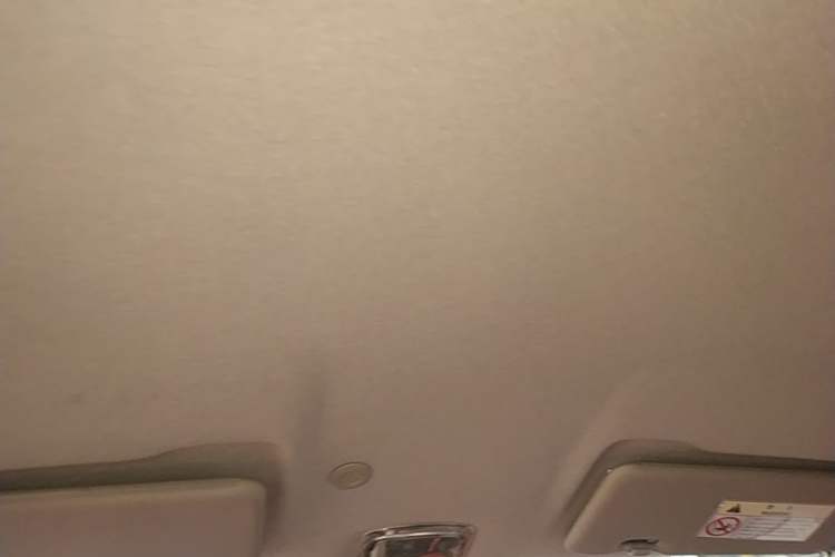 Used Dongfeng NAMMI EX1 2022 PRO Tiger Glory Luxury Model Headliner