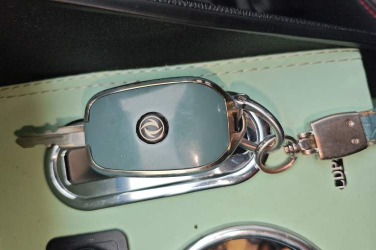 Used Dongfeng NAMMI EX1 2022 Restyled PRO Tiger Glory Deluxe Version Interior 1