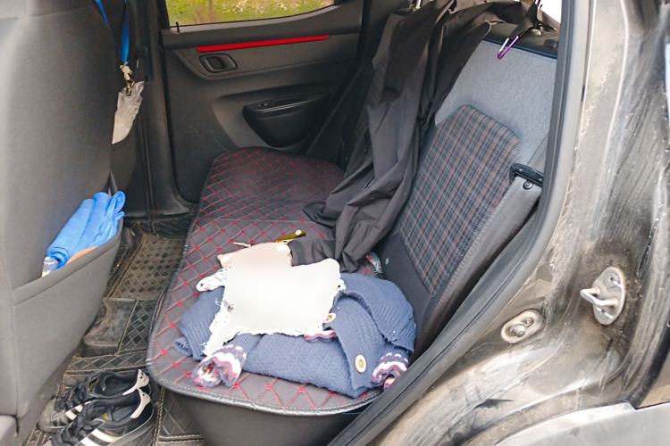 Used Dongfeng NAMMI EX1 2022 Revised PRO Tiger Glory Advanced Version Left Rear Seat