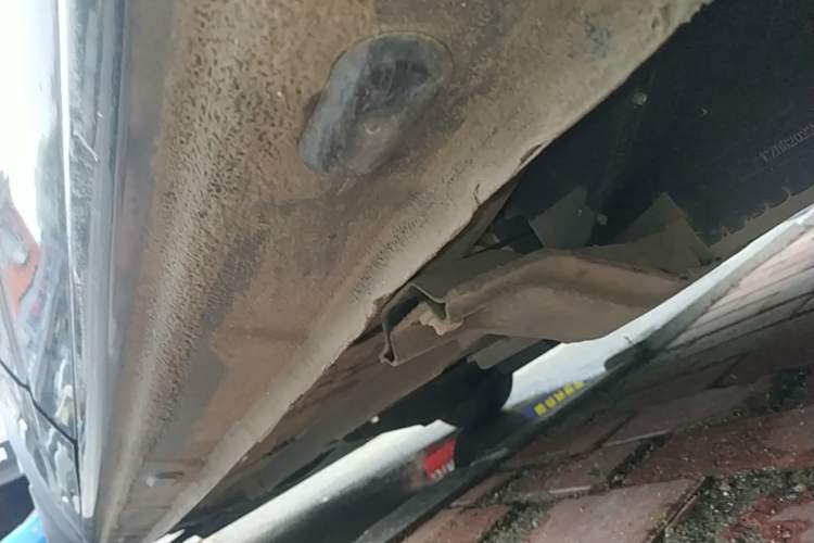 Used Dongfeng NAMMI EX1 2022 PRO Tiger Glory Luxury Model Left Side Sill