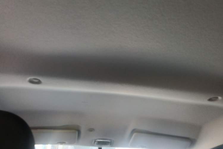 Used Dongfeng NAMMI EX1 2022 PRO Joyful Edition Headliner
