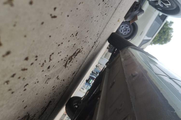 Used Dongfeng NAMMI EX1 2022 PRO Yuecheng Model Left Side Sill