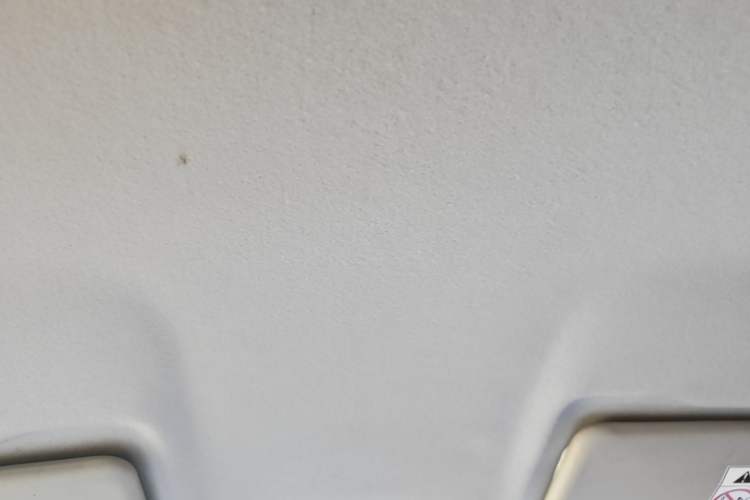 Used Dongfeng NAMMI EX1 2022 Quality Edition Headliner
