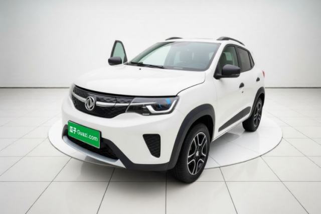 Dongfeng NAMMI EX1 2022 PRO Tiger Glory Standard Model usata