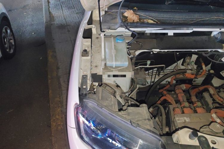 Used Dongfeng NAMMI EX1 2022 PRO Enjoyment Model Engine Bay Right