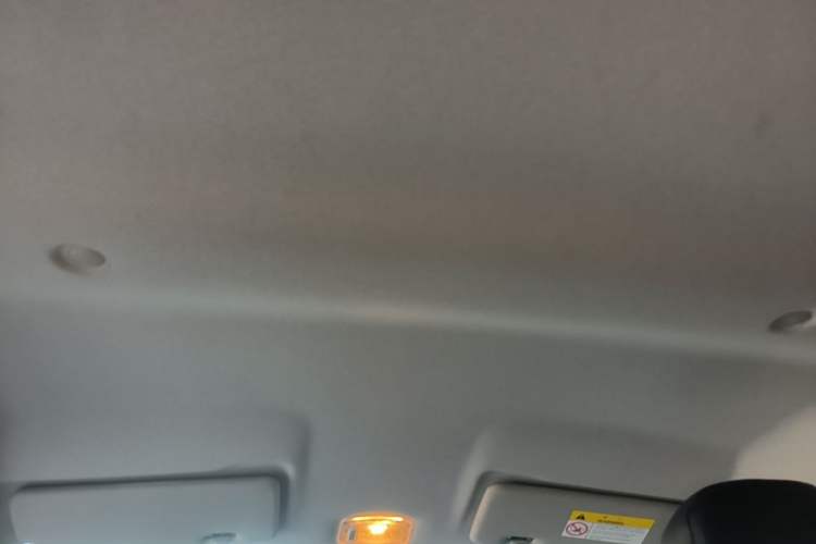 Used Dongfeng NAMMI EX1 2022 Quality Edition Headliner