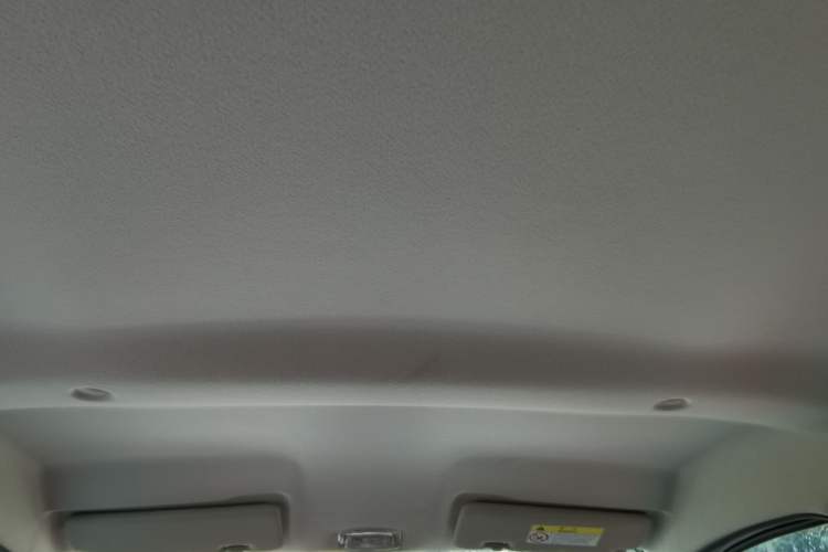 Used Dongfeng NAMMI EX1 2022 PRO Tiger Glory Advanced Model Headliner