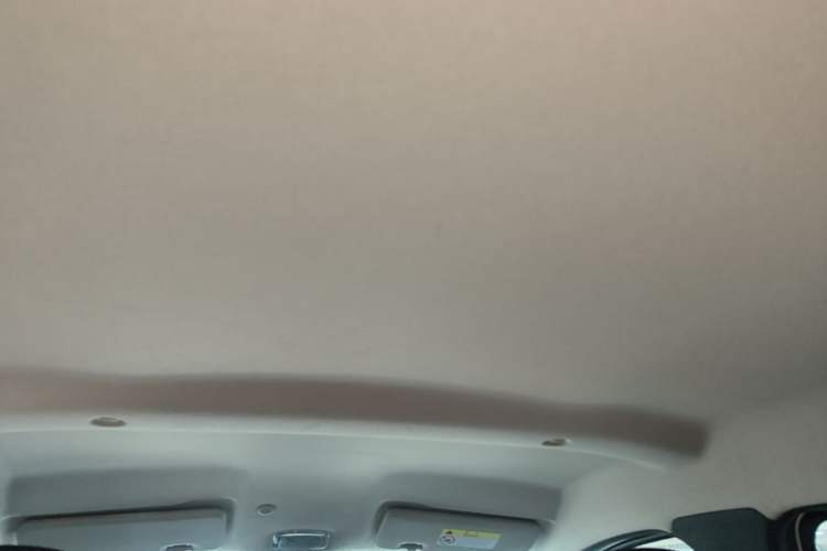 Used Dongfeng NAMMI EX1 2022 PRO Joyful Edition Headliner